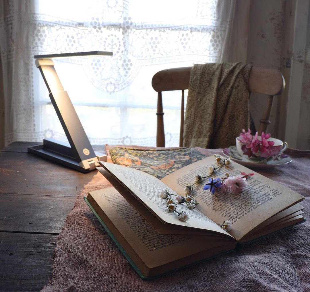 Five Great Daylight Reading Lamps