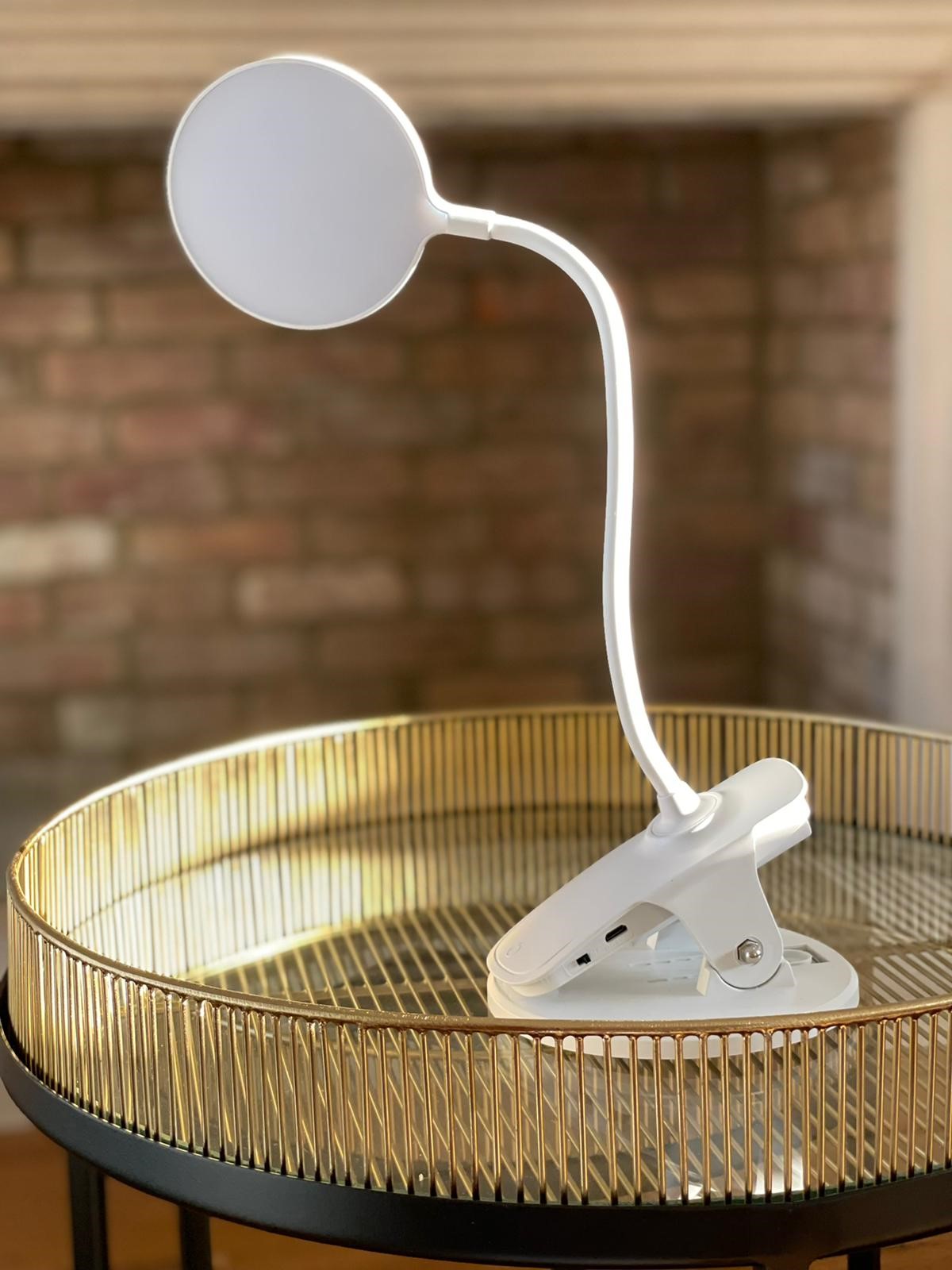 Clip On Mini Light N4239
