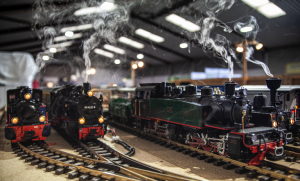 The Midlands Garden Rail Show