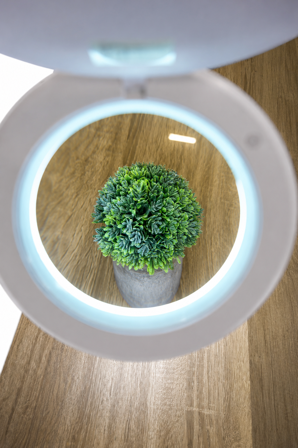 7" Magnifier Lamp - Image 8